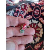 Значек БРПА Белорусская Республиканская Пионерская Организация