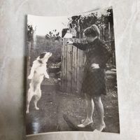 Фотография. История СССР в лицах. Девушка с собакой.