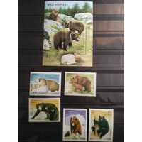 Афганистан 1996 г. Фауна.