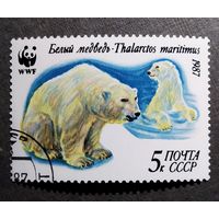 Марка СССР 1987 год Белый медведь
