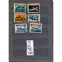 АЛБАНИЯ, 1964,  РЫБЫ, серия 6м, гашен