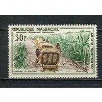 Автономная Малагасийская Республика под французским протекторатом - 1960 - Сбор сахарного тростника 30Fr - [Mi.455] - 1 марка. MNH.  (Лот 37HV)-TG3P24