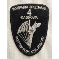 Шеврон 103-14, Польша