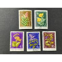 1972 СССР. Лекарственные растения. Полная серия