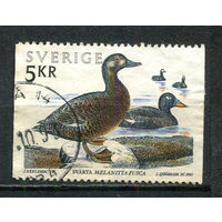 Швеция - 1993 - Птицы 5Kr - [Mi.1790] - 1 марка. Гашеная.  (Лот 64HP)-T2P42