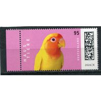 Германия. Фауна. Домашние питомцы. Попугай. Неразлучник