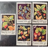 СССР 1982. Лесные ягоды. Полная серия