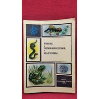 Рыбы, земнаводныя, паўзуны