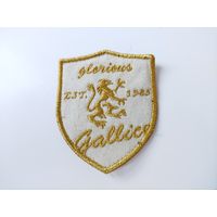 Шеврон, нашивка (Франция) (по почте не высылаю)