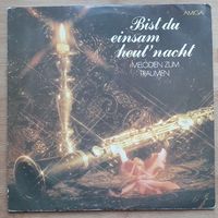 Bis du einsam heut nacht melodien zum