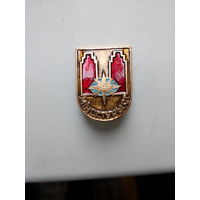Значок Минсктурист