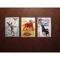 Беларусь 2010 г.Охотничьи собаки./п/