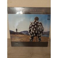 Pink Floyd / Пинк Флойд с рубля.Отличный.