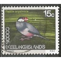 Кокосовые острова. Птица Яванский воробей. 1969г. Mi#15.