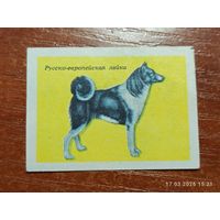Спичечная этикетка Русско-европейская лайка