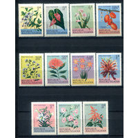 Республика Южно-Малуккских островов (Малуку Селатан) - 1953г. - флора - 11 марок - MNH. #4-W2-129-A-2