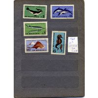 БОЛГАРИЯ, 1961,  РЫБЫ,  5м, гашен