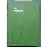 Мир растений. Рассказы о соснах и можжевельниках... А. В. Смирнов.Серия Эврика.1982.