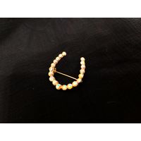 Брошь, подкова, аврора бореалис