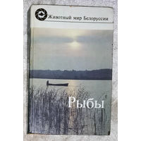 Рыбы. Животный мир Беларуси.
