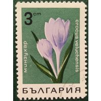 Болгария 1968 цветы 1 из 7.