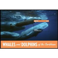 2014 Невис 3013/B364 Морская фауна - Киты 9,00 евро