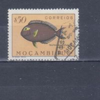 [1123] Португальский Мозамбик 1951. Фауна.Рыба.0,50 э. Гашеная марка.