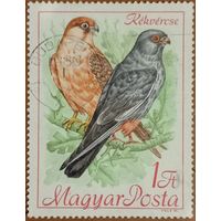 Венгрия 1986. Фауна. Птицы. Марка из серии
