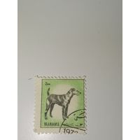 Манама. Фауна. 1972г.