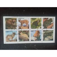 Эйнхаллоу. Фауна. Дикие животные. Малый лист