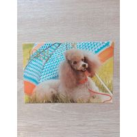 Календарик 1991