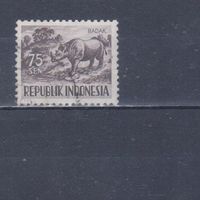 [2394] Индонезия 1956. Фауна.Дикие животные.Носорог. Гашеная марка.