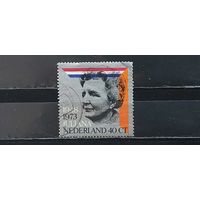 РАСПРОДАЖА НИДЕРЛАНДЫ 1973г. Полная серия. Гаш.