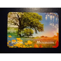 Календарик 2008 г.  Мозырьсоль. 25 лет для Вас!