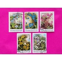 СССР. Весенние цветы. ( 5 марок ) 1983 года. 11-7.