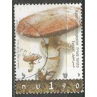 Израиль. Грибы. Шампиньон обычный. 2002г. Mi#1675.
