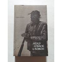 Саша Соколов "Между собакой и волком", "Школа для дураков"  - V