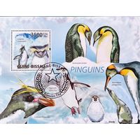 Гвинея-Биссау 2009. Фауна севера. Пингвины. Блок