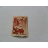 Польша,бокс