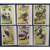 КНДР 1991 панда.