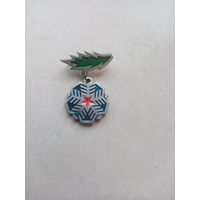 ЗНАЧОК СНЕЖИНКА-СССР