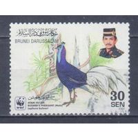 [106] Бруней 2001. Фауна.Птицы.Фазан (самец). Гашеная марка.