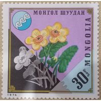 Монголия 1974. Флора. Цветы