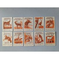 Спичечные этикетки ф.Искра. Охраняйте полезных животных и птиц