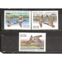 ФФ1 Россия 1995 Утки