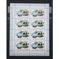 СССР 1984г. Малый лист. Кувшинка белоснежная. **. Сол.5504.