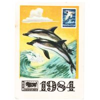 Календарик 1984