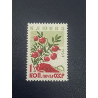 СССР 1964 г. Клюква