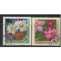 СССР 1970 Цветы Ромашка Ломонос #3867,3871