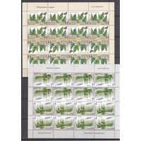 Беларусь-2012,(Мих.917-918) , ** , Папоротники